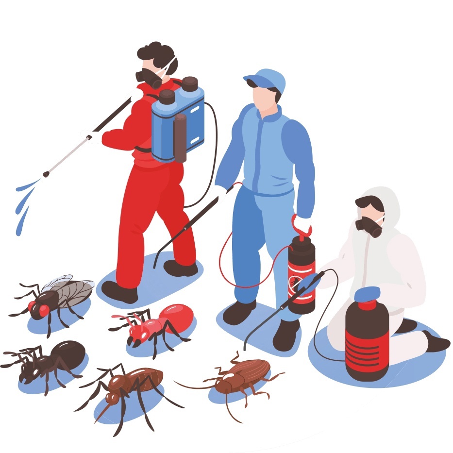 pest control near me