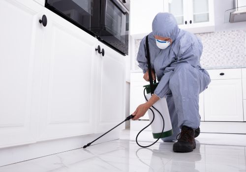 Best Pest Control Services in Noida