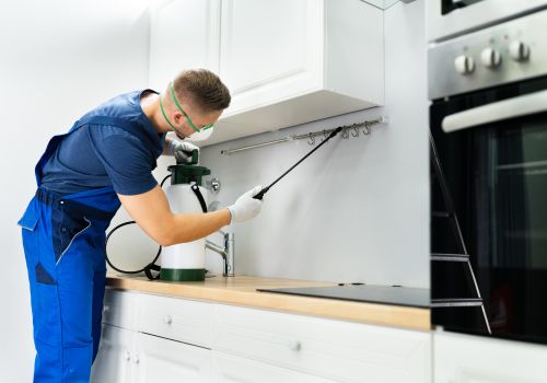 Best Pest Control Services in Noida